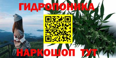 крисы Мариинск